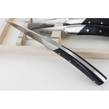 Andre Verdier Le Thiers Elegance 6Pc Knife - 1 Solid Stainless Steel Bolster In Box - Ebony Handle