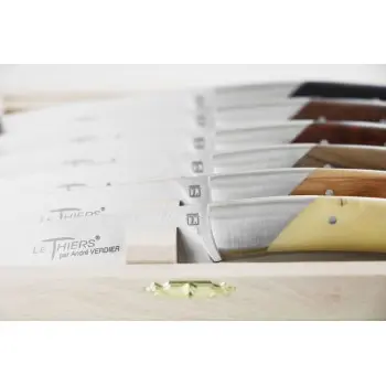 Andre Verdier Le Thiers Elegance 6Pc Knife - 1 Solid Stainless Steel Bolster In Box - Wood Set Handle