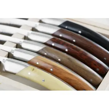 Andre Verdier Le Thiers Elegance 6Pc Knife - 1 Solid Stainless Steel Bolster In Box - Wood Set Handle