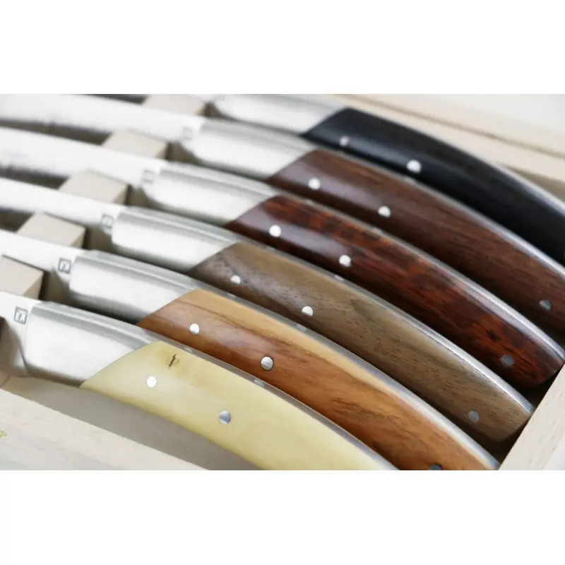 Andre Verdier Le Thiers Elegance 6Pc Knife - 1 Solid Stainless Steel Bolster In Box - Wood Set Handle Andre Verdier Le Thiers Elegance 6Pc Knife - 1 Solid Stainless Steel Bolster In Box - Wood Set Handle