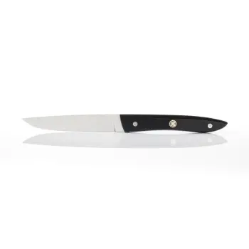 Perceval Table Knife - Adret Collection - Black Krion Handle