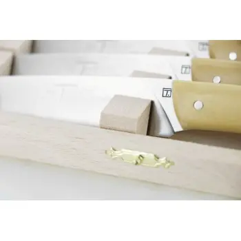 Andre Verdier Le Thiers Elegance 6 Pc Knife In Box - Boxwood Handle