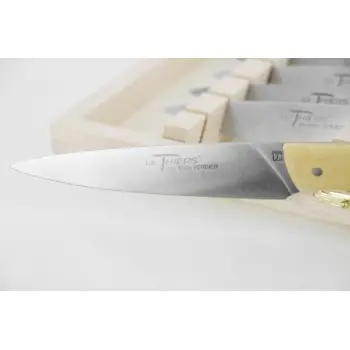 Andre Verdier Le Thiers Elegance 6 Pc Knife In Box - Boxwood Handle