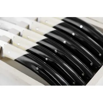 Andre Verdier Le Thiers Elegance 6 Pc Knife In Box - Bicolor Off-White/Black Acrylic Handle