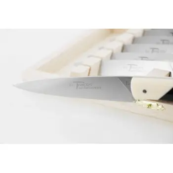 Andre Verdier Le Thiers Elegance 6 Pc Knife In Box - Bicolor Off-White/Black Acrylic Handle