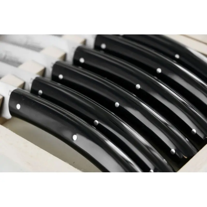 Andre Verdier Le Thiers Elegance 6 Pc Knife In Box - Black Acrylic Handle