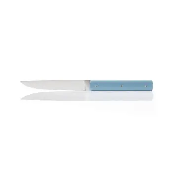 Perceval Table Knife - 888 Collection - Polyacetal Celadon Blue Handle
