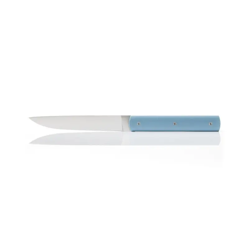 Perceval Table Knife - 888 Collection - Polyacetal Celadon Blue Handle