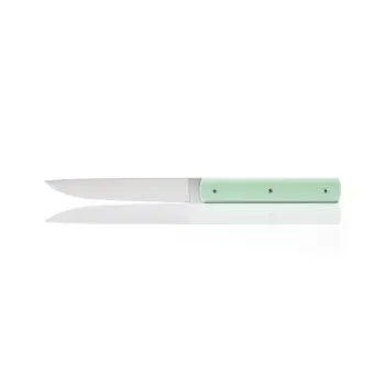 Perceval Table Knife - 888 Collection - Polyacetal Pistachio Green Handle