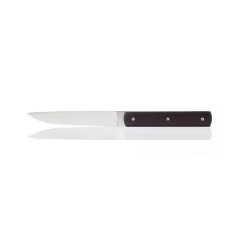 Perceval Table Knife - 888 Collection - Polyacetal Purple Handle