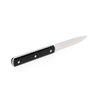 Perceval Table Knife - 947 Collection - Prestige Black Krion Handle