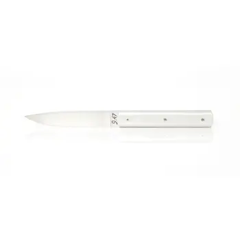Perceval Table Knife - 947 Collection - Polyacetal Frosted Handle