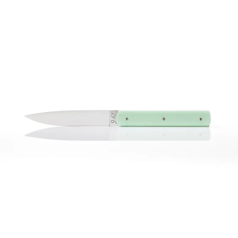 Perceval Table Knife - 947 Collection - Polyacetal Pistachio Green Handle Perceval Table Knife - 947 Collection - Polyacetal Pistachio Green Handle