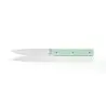 Perceval Table Knife - 947 Collection - Polyacetal Pistachio Green Handle