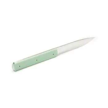 Perceval Table Knife - 947 Collection - Polyacetal Pistachio Green Handle