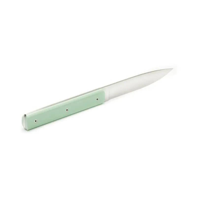Perceval Table Knife - 947 Collection - Polyacetal Pistachio Green Handle Perceval Table Knife - 947 Collection - Polyacetal Pistachio Green Handle