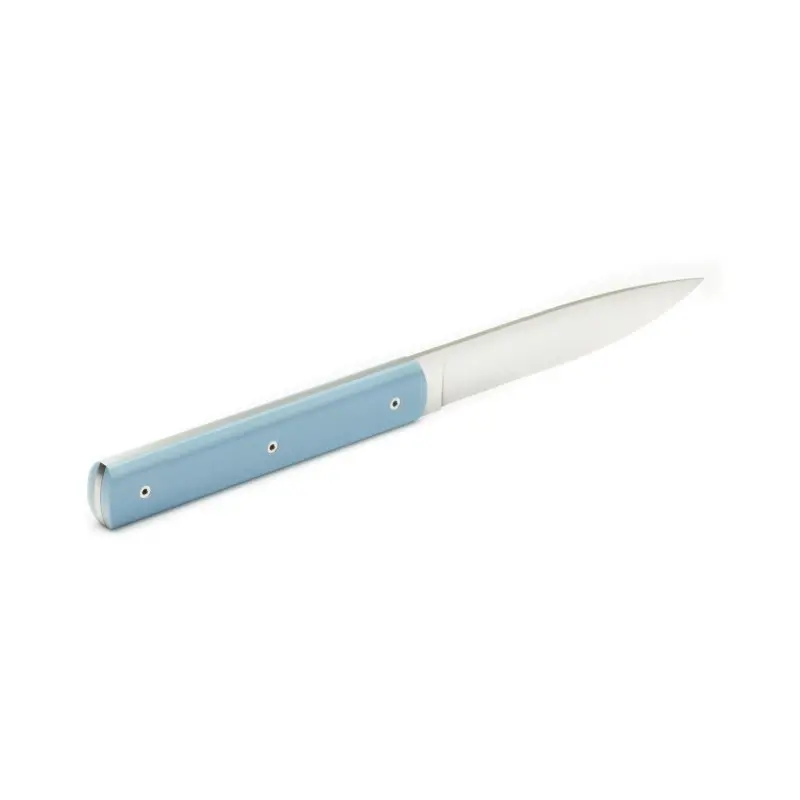 Perceval Table Knife - 947 Collection - Polyacetal Celadon Blue Handle Perceval Table Knife - 947 Collection - Polyacetal Celadon Blue Handle