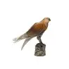 Daum Glass Sculpture Saker Hawk - M. van der Knoop by Van der Knoop Madeleine 17.1'' x 14.6'' x 5.5''