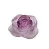 Daum Glass Sculpture Pink Flower by Rose Passion 2.4'' x 4.3'' x 4.3''