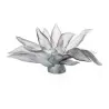 Daum Glass Sculpture Grey Agave Centrepiece by Jardin de Cactus Emilio Robba 10.2'' x 24.8'' x 19.7''
