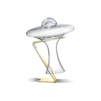 Designer Satin Gold and Stainless Steel Noe Decanter with Support / Dryer 1L