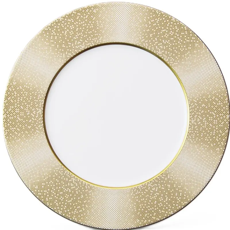 Narumi Flat Rim Collection Gold Dust 27cm Flat Rim Plate - Set of 24 Narumi Flat Rim Collection Gold Dust 27cm Flat Rim Plate - Set of 24