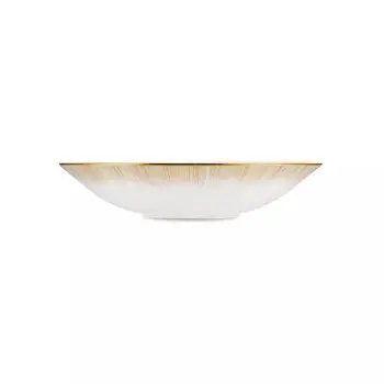 Narumi Cool Coupe Collection Glowing Gold 28cm Plate - Set of 24