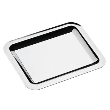 Broggi Collection Stainless Steel Rectangular Tray 27 x 21 cm