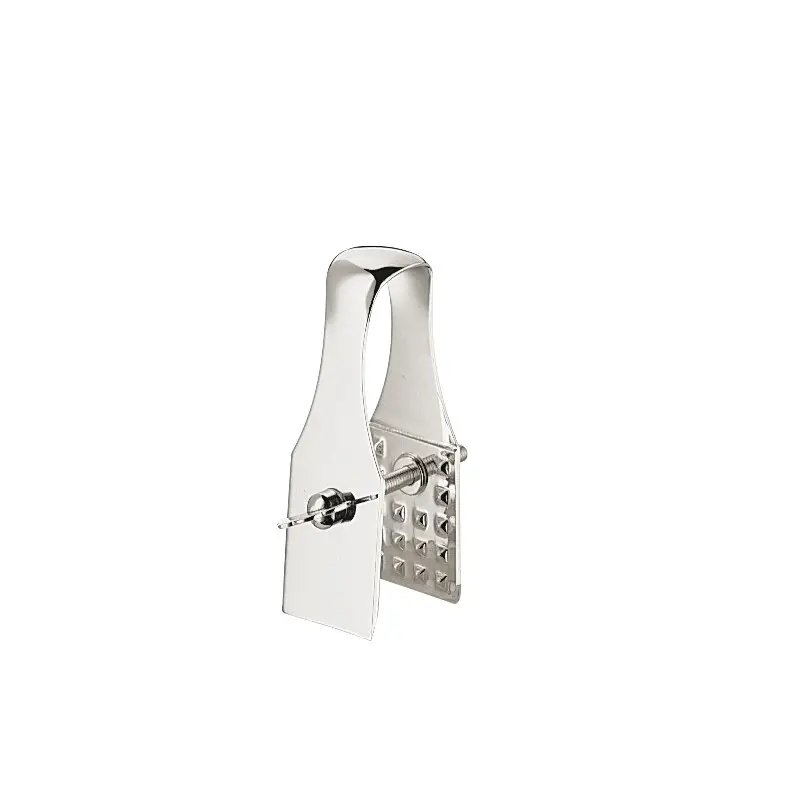 Broggi classica Collection Silver Plated Cheese Tongs classica L.13 cm
