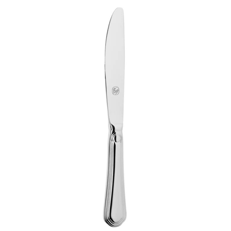 Broggi Medici Collection Stainless Steel Table Knife Hollow Handle - Set of 12