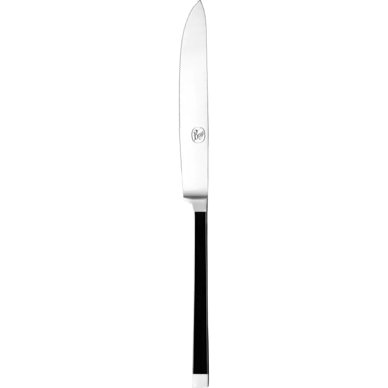 Broggi Gualtiero Marchesi Collection Stainless Steel Steak Knife W.Serrated Blade - Set of 12 Broggi Gualtiero Marchesi Collection Stainless Steel Steak Knife W.Serrated Blade - Set of 12