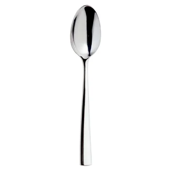 Broggi Impulso Collection Stainless Steel Serving Spoon - Set of 12