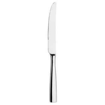 Broggi Impulso Collection Stainless Steel Steak Knife Solid Handle - Set of 12