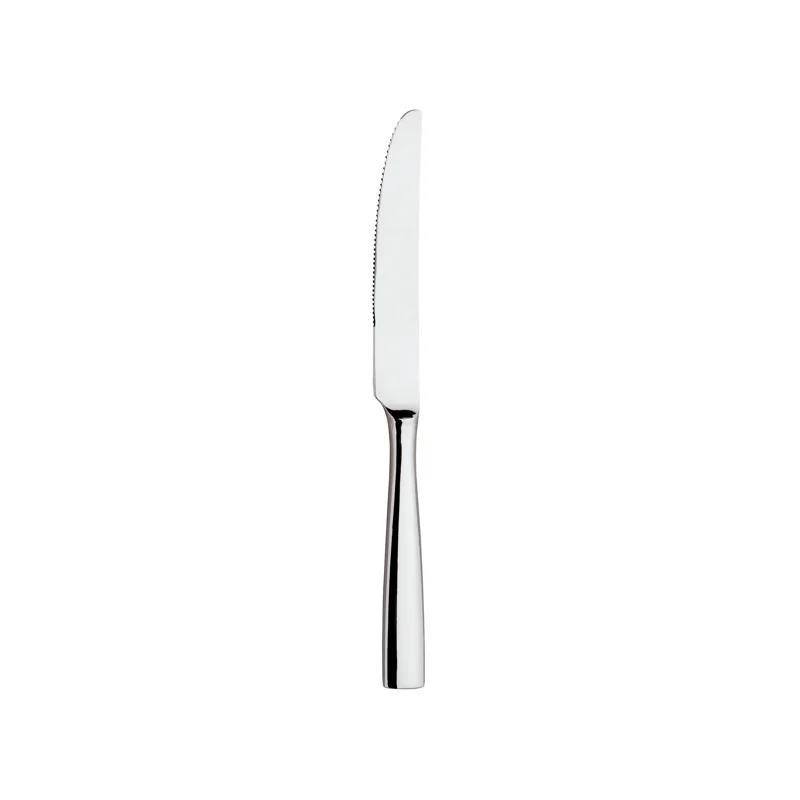 Broggi Impulso Collection Stainless Steel Steak Knife Solid Handle - Set of 12