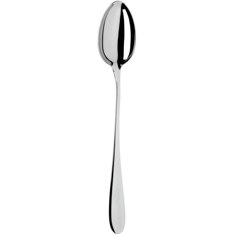 Broggi City Collection Stainless Steel Buffet Serving Spoon - 25 X 8.5 Cm - Set of 12