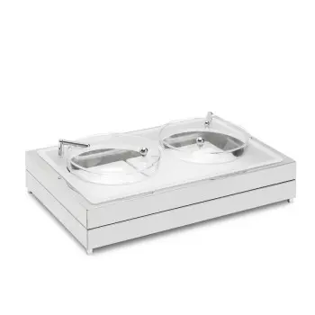 Elegant Fantasy Inox Service Tray - 2 Glass Bowls - 2 Lids - Cool