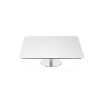 Designer Stainless Steel Serving Plate with Cloche and Amethyst Stone