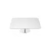 Designer Stainless Steel Serving Plate with Cloche and Amethyst Stone