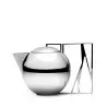 Designer Stainless Steel Trama Tea Pot 0.9L