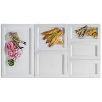 APS Tray Gastronorm 1/1 20.875" x 12.875" x 0.875" H porcelain white Frames - Case of 6