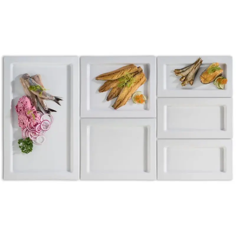 APS Tray Gastronorm 1/1 20.875" x 12.875" x 0.875" H porcelain white Frames - Case of 6 APS Tray Gastronorm 1/1 20.875" x 12.875" x 0.875" H porcelain white Frames - Case of 6