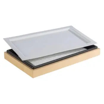 APS Tray Gastronorm 1/1 20.875" x 12.875" x 0.875" H porcelain white Frames - Case of 6