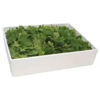 Tablecraft Contemporary Collection Straight-Sided Bowl 6 Qts 12.875"x10.5"x3" White Nylon Coated Cast Aluminum