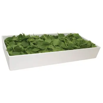 Tablecraft Contemporary Collection Straight-Sided Bowl 10 Qts 20"x10"x3" White Nylon Coated Cast Aluminum