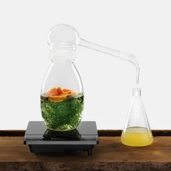 Designer Cirano Distiller For Hydrolates - 330 x 330 x 500 mm