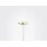 Designer Margherita, Transparent And Yellow Flower - 60 x 60 x 260 mm - Set of 6