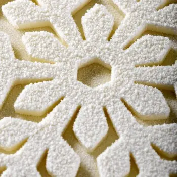 Pavoni Professional Snowflake Entremet Silicone Mold By Antonio Bachour - Ø mm x 208 mm x h 47 mm - 1100 ml