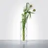 Designer Nassa Flower Vase - 120 x 120 x 330 mm
