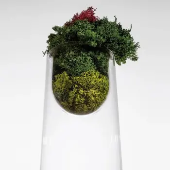 Designer Topless Medium Flower Vase - 256 x 256 x 296 mm