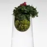 Designer Topless Small Flower Vase - 160 x 160 x 230 mm